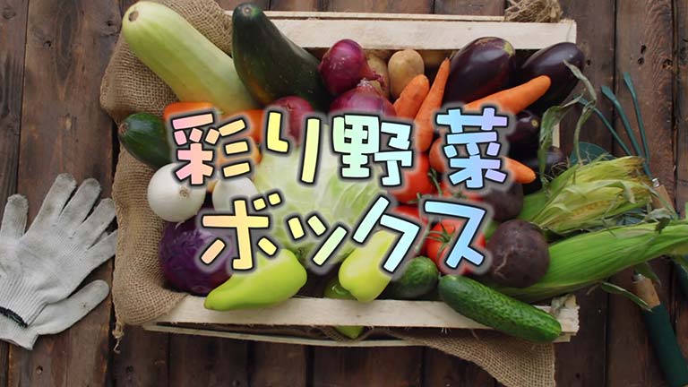 彩り野菜ボックスのサムネイル画像
