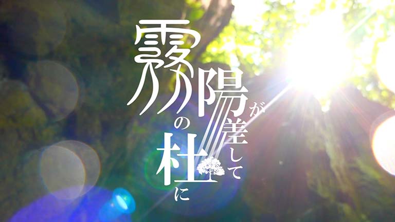霧の杜に陽が差してのサムネイル画像