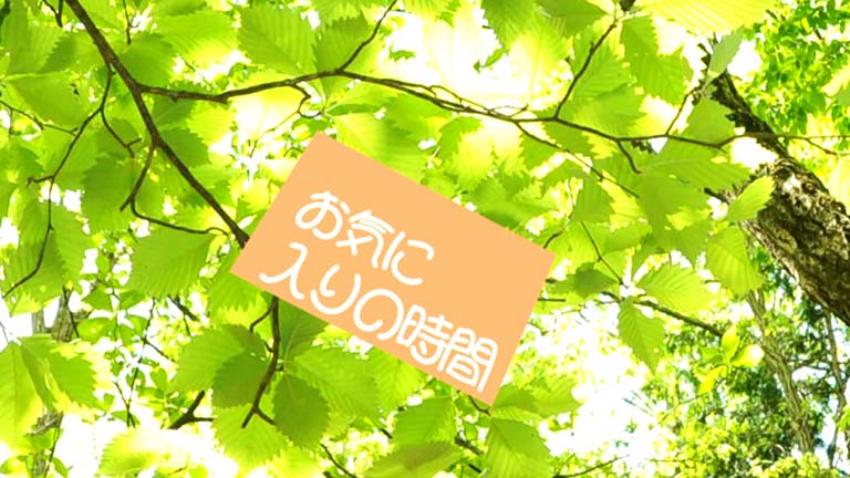 お気に入りの時間のサムネイル画像